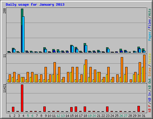 Daily usage for January 2013