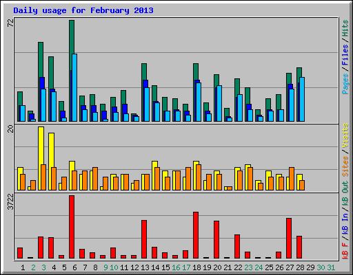 Daily usage for February 2013