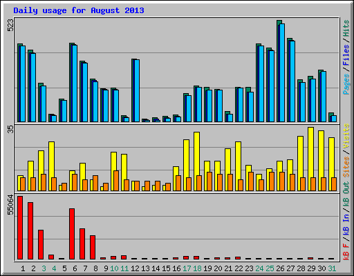 Daily usage for August 2013