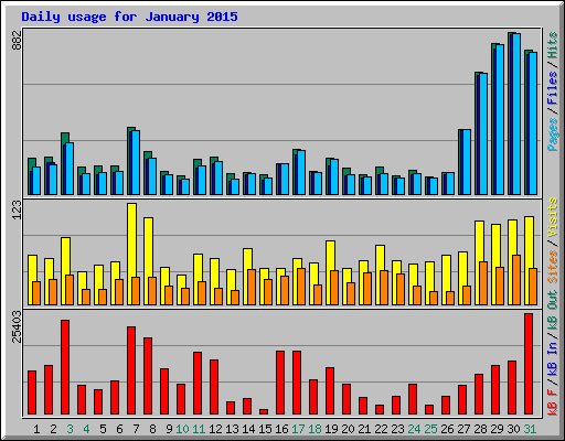 Daily usage for January 2015