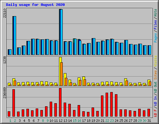 Daily usage for August 2020