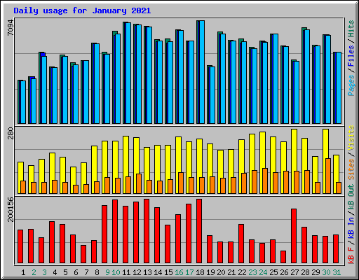 Daily usage for January 2021