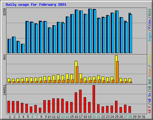 Daily usage for February 2021