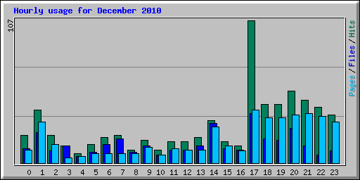 Hourly usage for December 2010