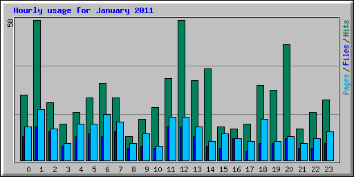 Hourly usage for January 2011