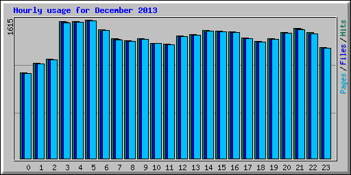 Hourly usage for December 2013