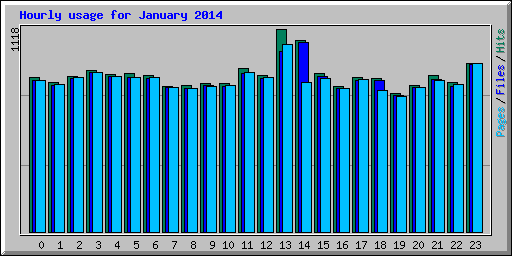 Hourly usage for January 2014