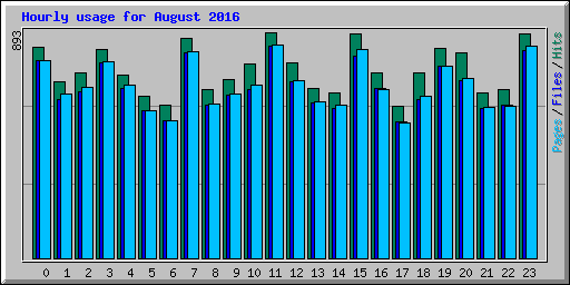 Hourly usage for August 2016