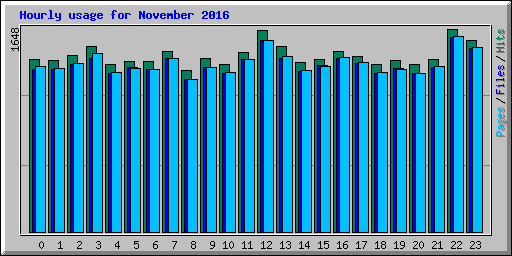 Hourly usage for November 2016