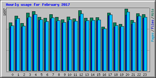 Hourly usage for February 2017