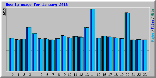 Hourly usage for January 2018