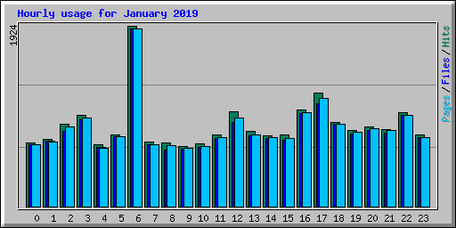 Hourly usage for January 2019