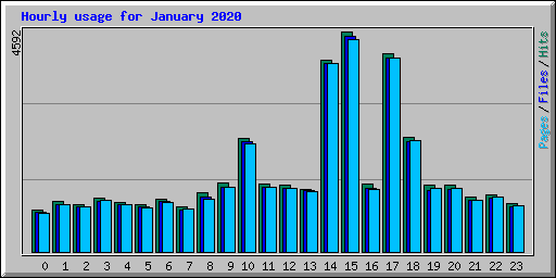 Hourly usage for January 2020