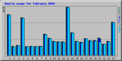 Hourly usage for February 2020