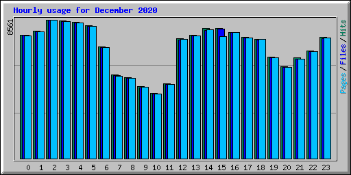 Hourly usage for December 2020