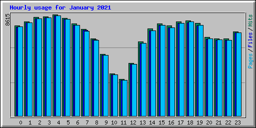 Hourly usage for January 2021