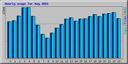 Hourly usage for May 2021