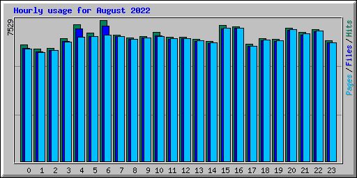 Hourly usage for August 2022